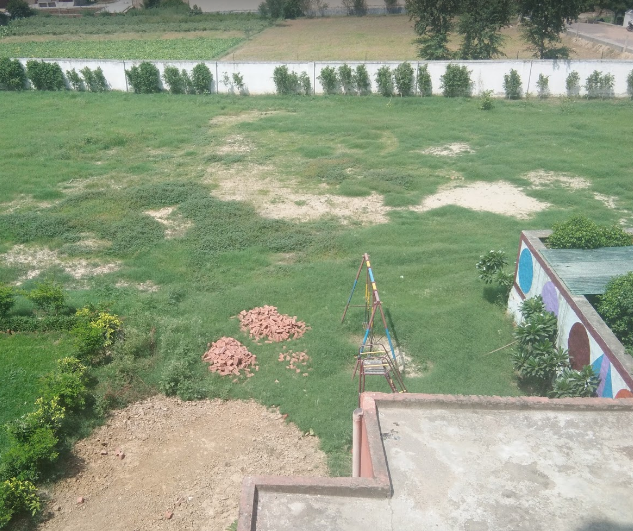 Dadri Public School